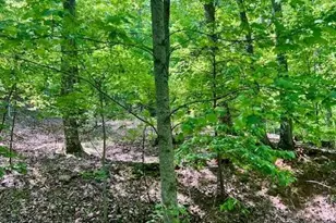 220 Yanegwa Knoll, Dawsonville, GA 30534 - Photo 1