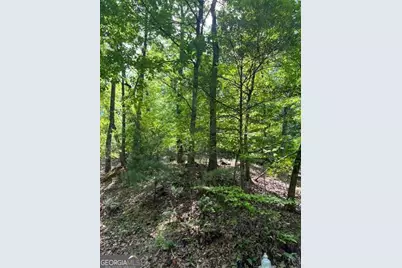 220 Yanegwa Knoll, Dawsonville, GA 30534 - Photo 7