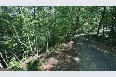 409 &amp; 411 Barefoot Rise, Hiawassee, GA 30546 - Photo 3