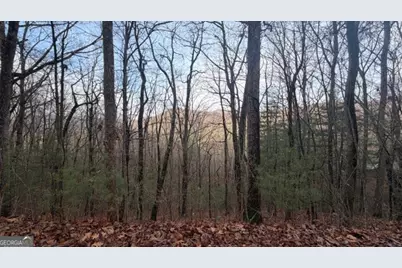 409 &amp; 411 Barefoot Rise, Hiawassee, GA 30546 - Photo 11