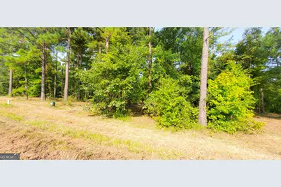 Lot 13 Block A Mountain View Way, Bainbridge, GA 39819 - Photo 3