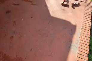 1285 Pio Nono Ave, Macon, GA 31204 - Photo 17