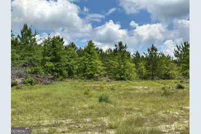 Lot 8 Highway 19, Dublin, GA 31021 - Photo 1