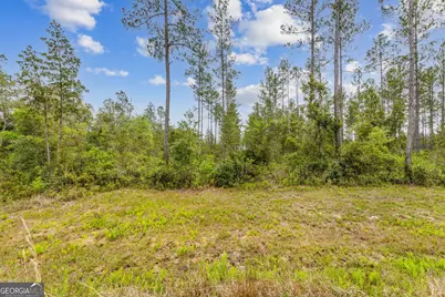 V/L 102 Old Reserve Road, Waverly, GA 31565 - Photo 7