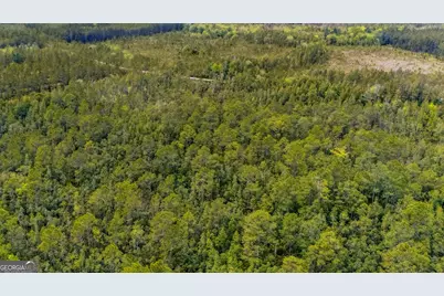 V/L 102 Old Reserve Road, Waverly, GA 31565 - Photo 13