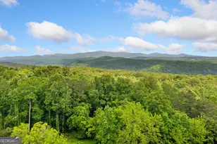 153 Church St, Ball Ground, GA 30107 - Photo 27