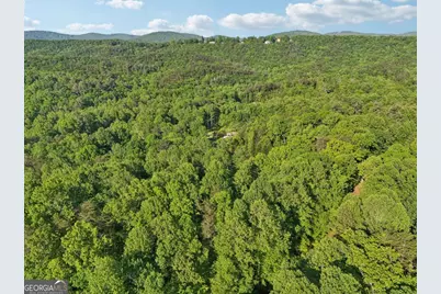 43 Smith Circle, Dawsonville, GA 30534 - Photo 21