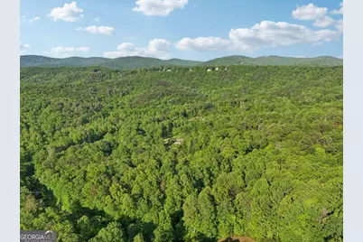 43 Smith Circle, Dawsonville, GA 30534 - Photo 17