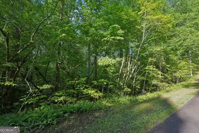 43 Smith Circle, Dawsonville, GA 30534 - Photo 3