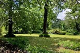 3939 Georgia Hwy 3/Old Atl Rd, Griffin, GA 30223 - Photo 7