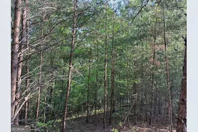 501 River Hills Road, McCaysville, GA 30555 - Photo 3