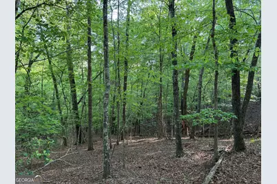 502 River Hills Road, McCaysville, GA 30555 - Photo 3