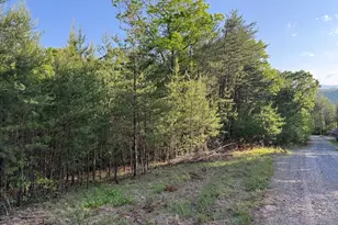 502 River Hills Rd, McCaysville, GA 30555 - Photo 1