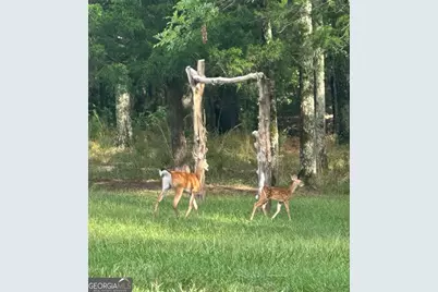 2150 Bobby Brown State Park Road, Elberton, GA 30635 - Photo 25