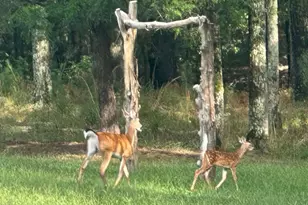 2150 Bobby Brown State Park Rd, Elberton, GA 30635 - Photo 25