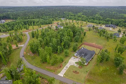 1371 Bayside Drive, Greensboro, GA 30642 - Photo 13