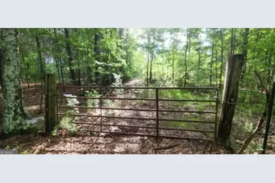 678 Seabolt Road, Locust Grove, GA 30248 - Photo 9