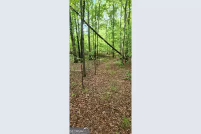 678 Seabolt Road, Locust Grove, GA 30248 - Photo 11