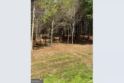 850 Browning Road, Jasper, GA 30143 - Photo 7