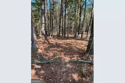 850 Browning Road, Jasper, GA 30143 - Photo 9