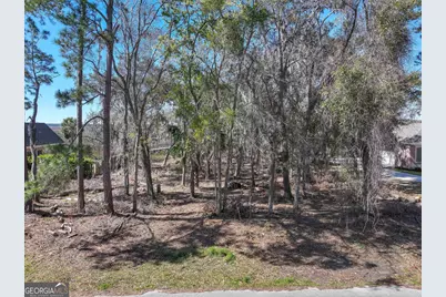 0 Riverview West Drive, Saint Marys, GA 31558 - Photo 5