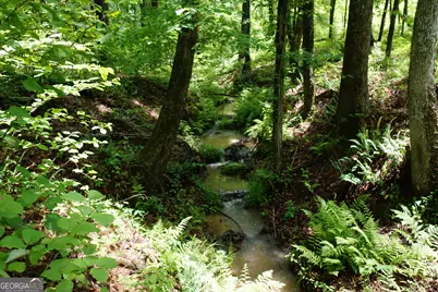 342 Ramah Church Road, Barnesville, GA 30204 - Photo 9