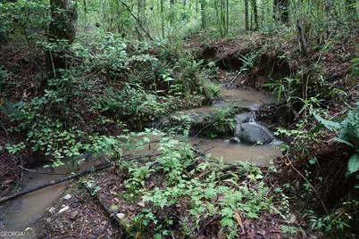 342 Ramah Church Road, Barnesville, GA 30204 - Photo 11