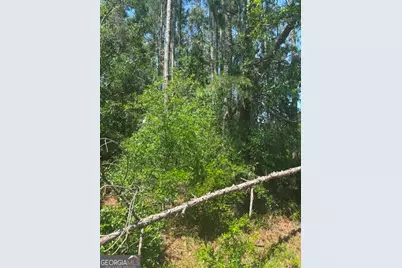 0 Stoney Brook Way, Reidsville, GA 30453 - Photo 1