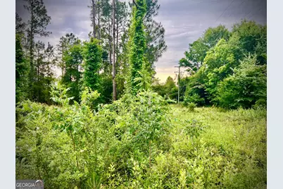 0 Walke Dairy Road, Dublin, GA 31021 - Photo 7