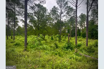 0 Walke Dairy Road, Dublin, GA 31021 - Photo 5