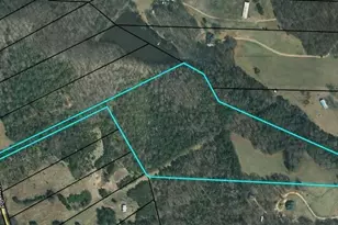 1044 Union School Rd, Molena, GA 30258 - Photo 13