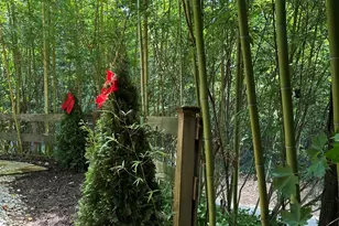 1261 Lavista Rd NE, Atlanta, GA 30324 - Photo 23