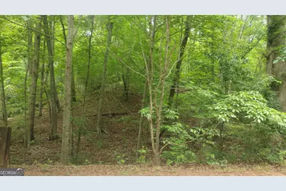 0 Pebble Creek Lane #9, Alto, GA 30510 - Photo 7