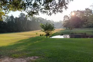 531 Grant Rd, Brooks, GA 30205 - Photo 89