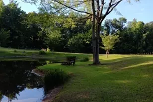 531 Grant Rd, Brooks, GA 30205 - Photo 71