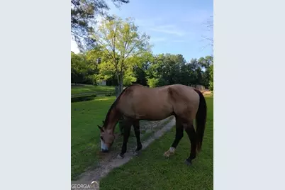 531 Grant Road, Brooks, GA 30205 - Photo 91