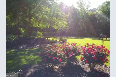 531 Grant Road, Brooks, GA 30205 - Photo 73