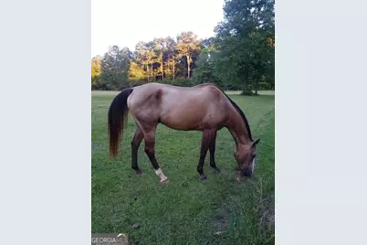 531 Grant Road, Brooks, GA 30205 - Photo 9