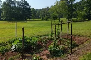 531 Grant Rd, Brooks, GA 30205 - Photo 77