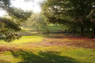 531 Grant Rd, Brooks, GA 30205 - Photo 79