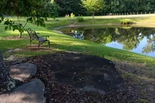 531 Grant Rd, Brooks, GA 30205 - Photo 71