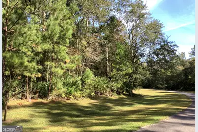 V/L 27 River Place Drive, Waverly, GA 31565 - Photo 1