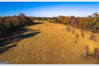 0 Pine Grove Church Road #LOT 2, Culloden, GA 31016 - Photo 3