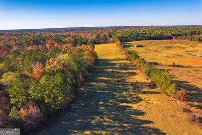 0 Pine Grove Church Road #LOT 2, Culloden, GA 31016 - Photo 1