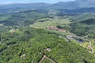 376 Eagles Rest, Blairsville, GA 30512 - Photo 35