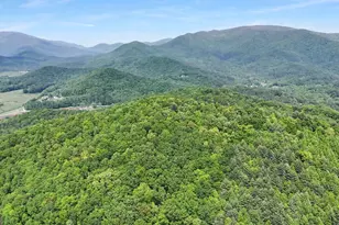 376 Eagles Rest, Blairsville, GA 30512 - Photo 39