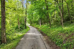 376 Eagles Rest, Blairsville, GA 30512 - Photo 33