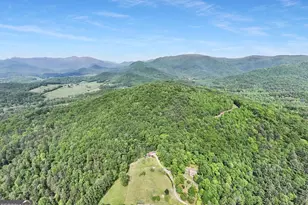 376 Eagles Rest, Blairsville, GA 30512 - Photo 53