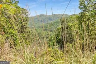 376 Eagles Rest, Blairsville, GA 30512 - Photo 21