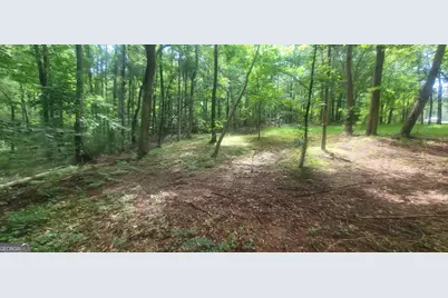 121 Pinedale Circle, Griffin, GA 30224 - Photo 3